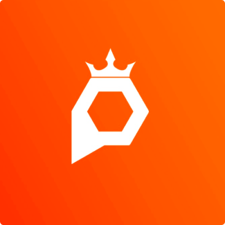 PayKing Logo